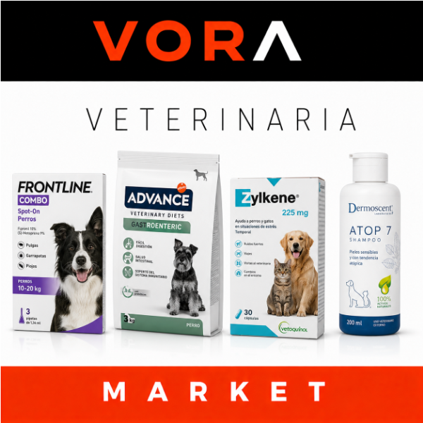 Veterinaria